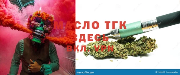 тгк Абаза