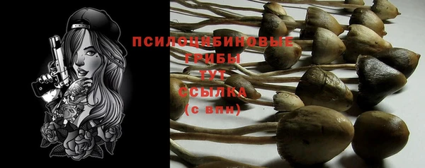 герыч Абинск