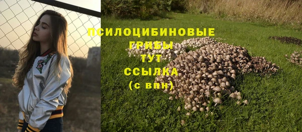 тгк Абаза