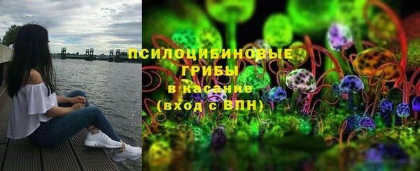 тгк Абаза