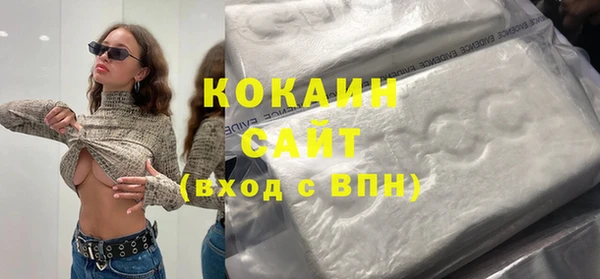 тгк Абаза