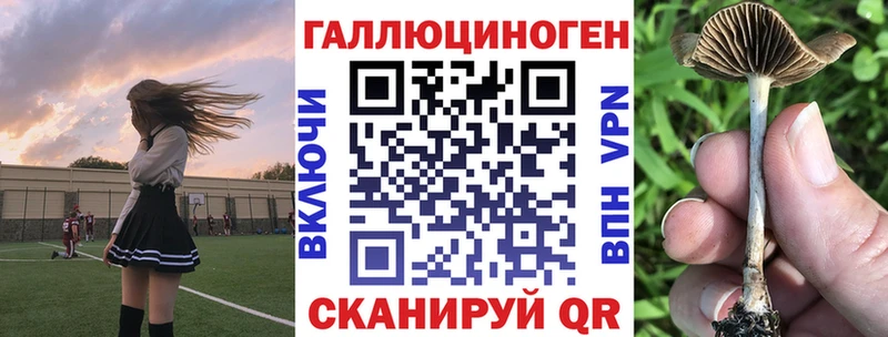 MEGA ссылка  Воронеж  Галлюциногенные грибы Psilocybine cubensis 